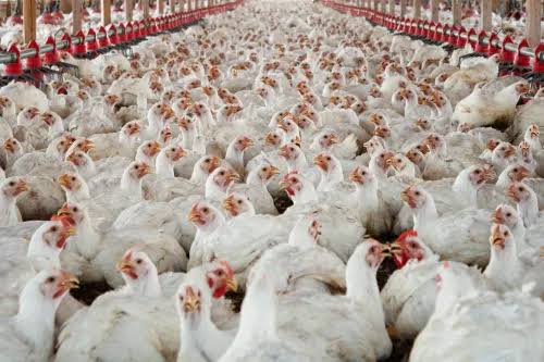 TECHNOLOGY IS CHANGING THE FUTURE OF FARMING